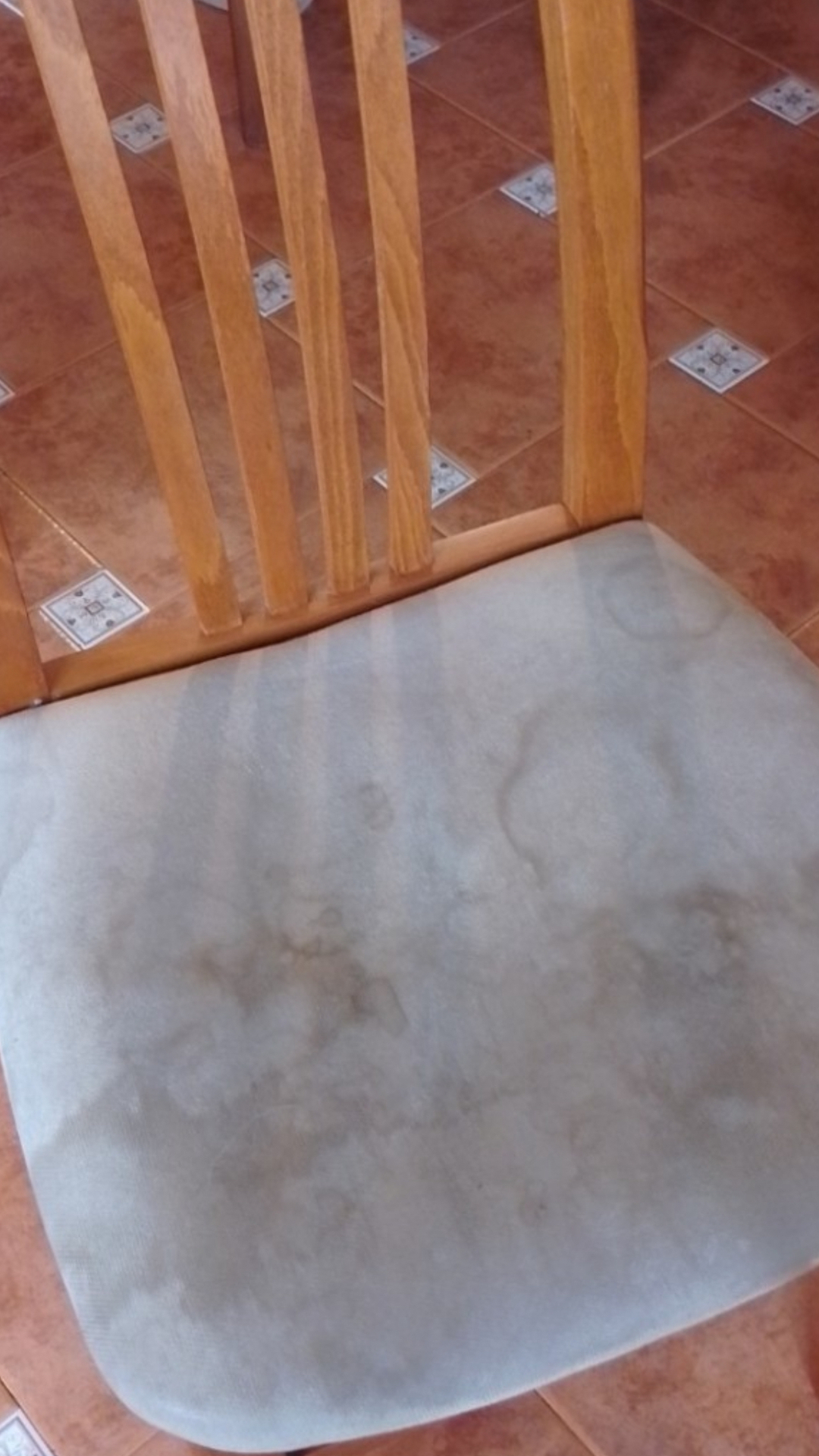 Before photo for Upholstery Cleaning