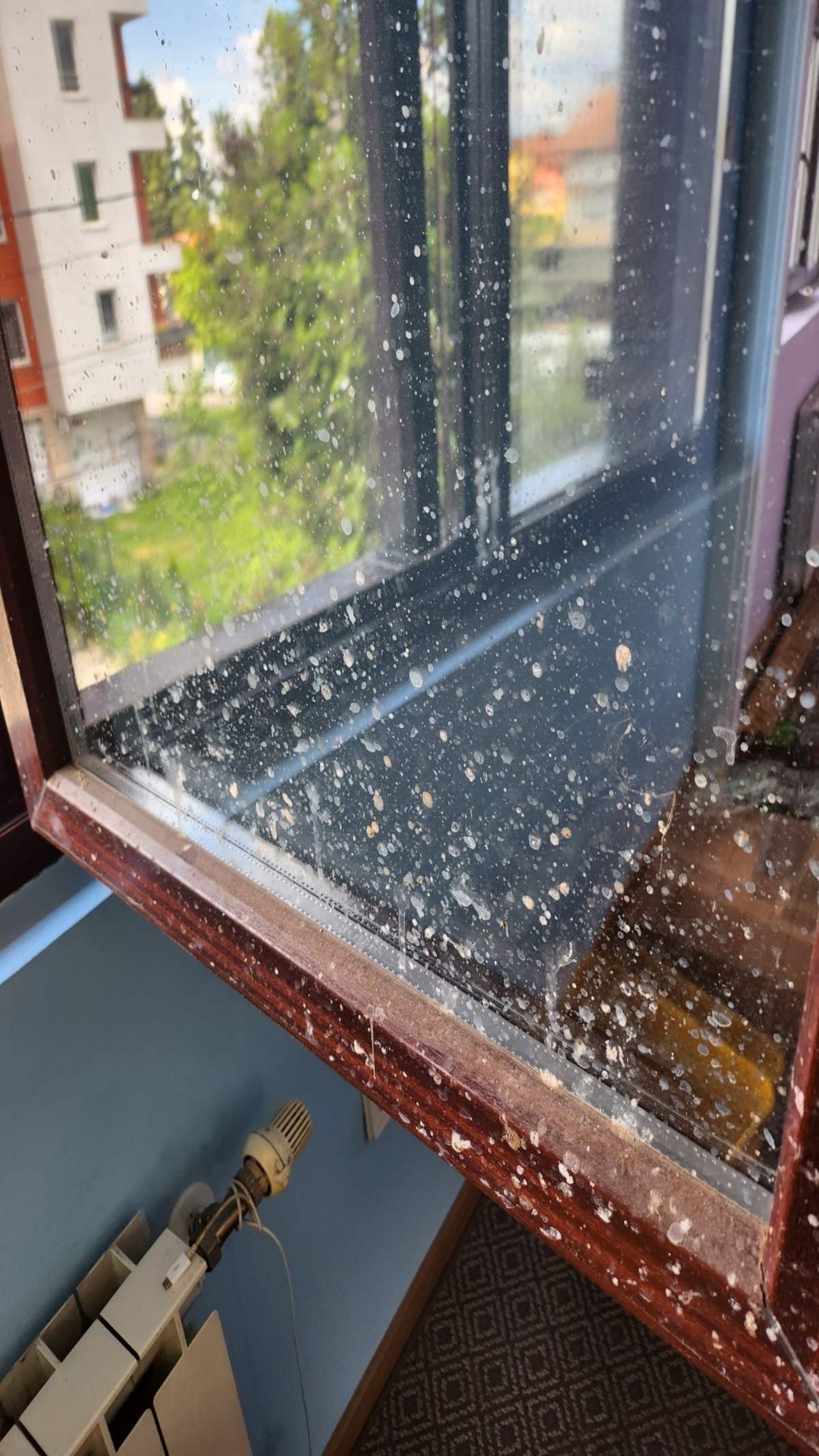 Before photo for Почистване на прозорци