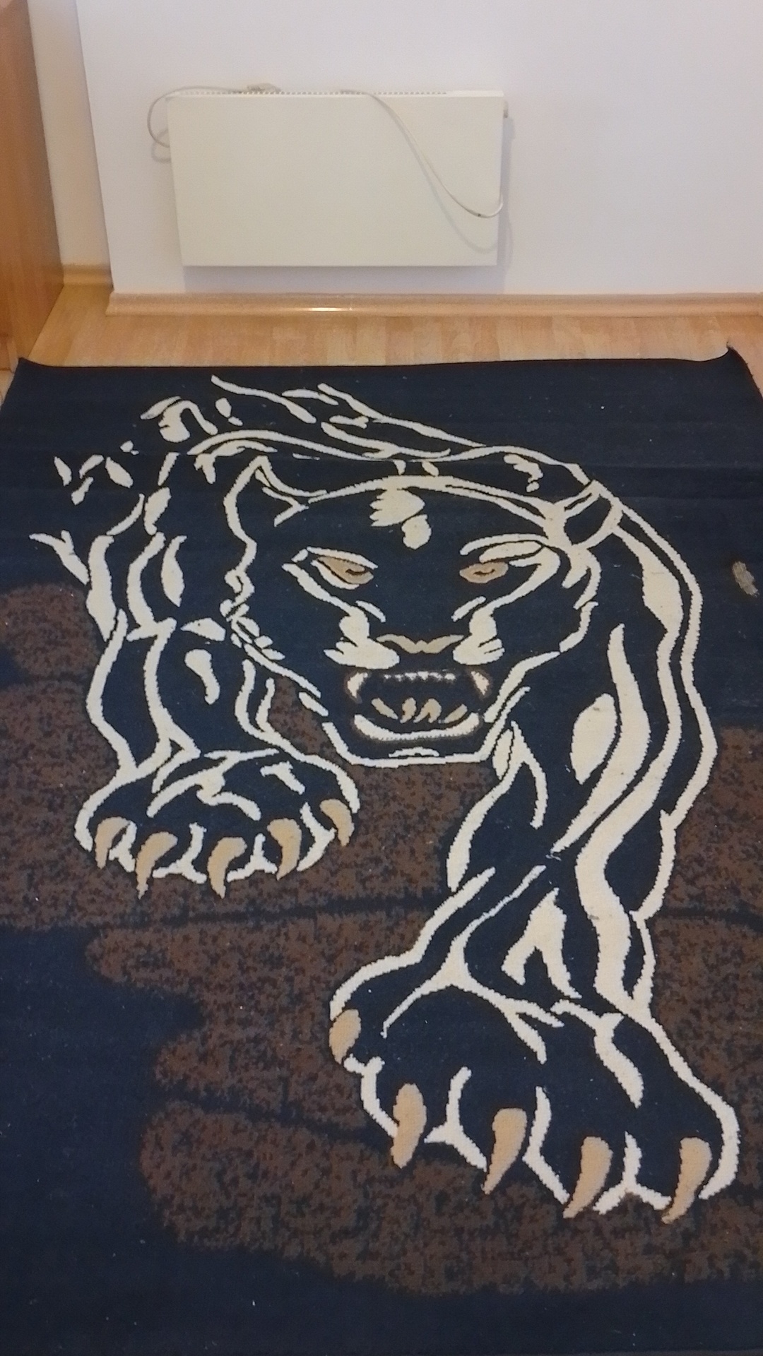 Before photo for Deep Cleaning