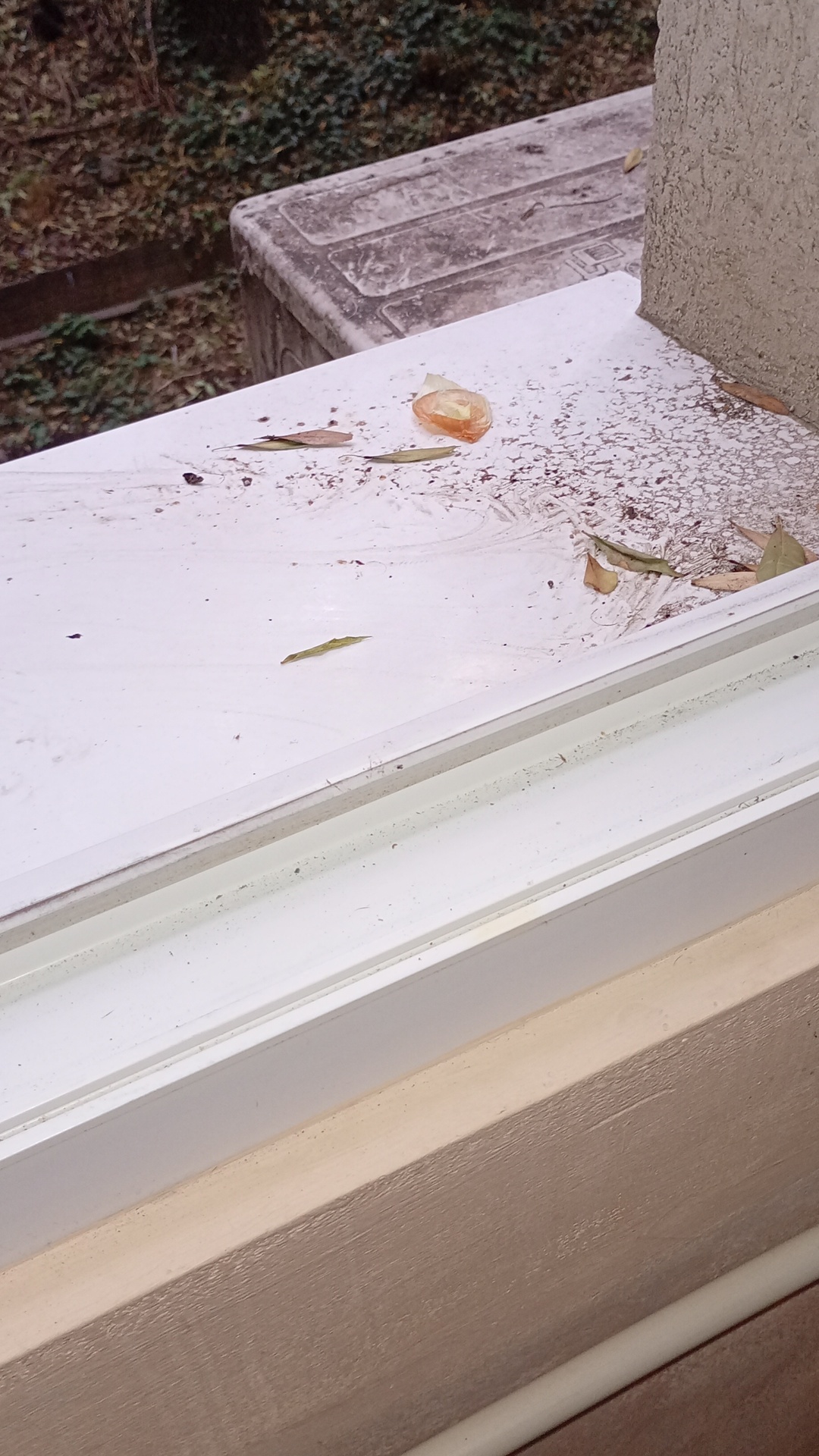 Before photo for Deep Cleaning