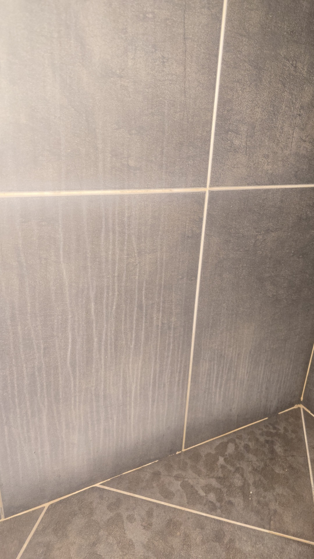 Before photo for Почистване на баня