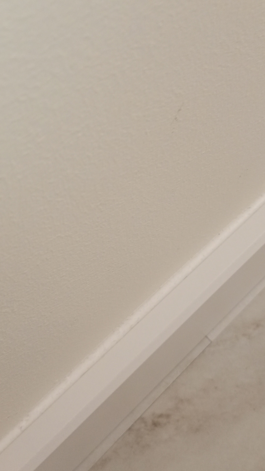 After photo for Deep Cleaning