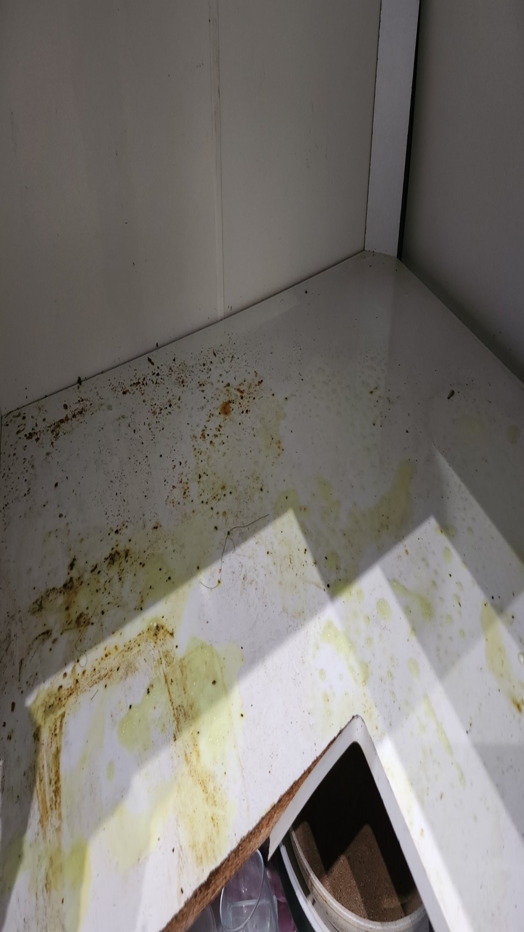 Before photo for Deep Cleaning