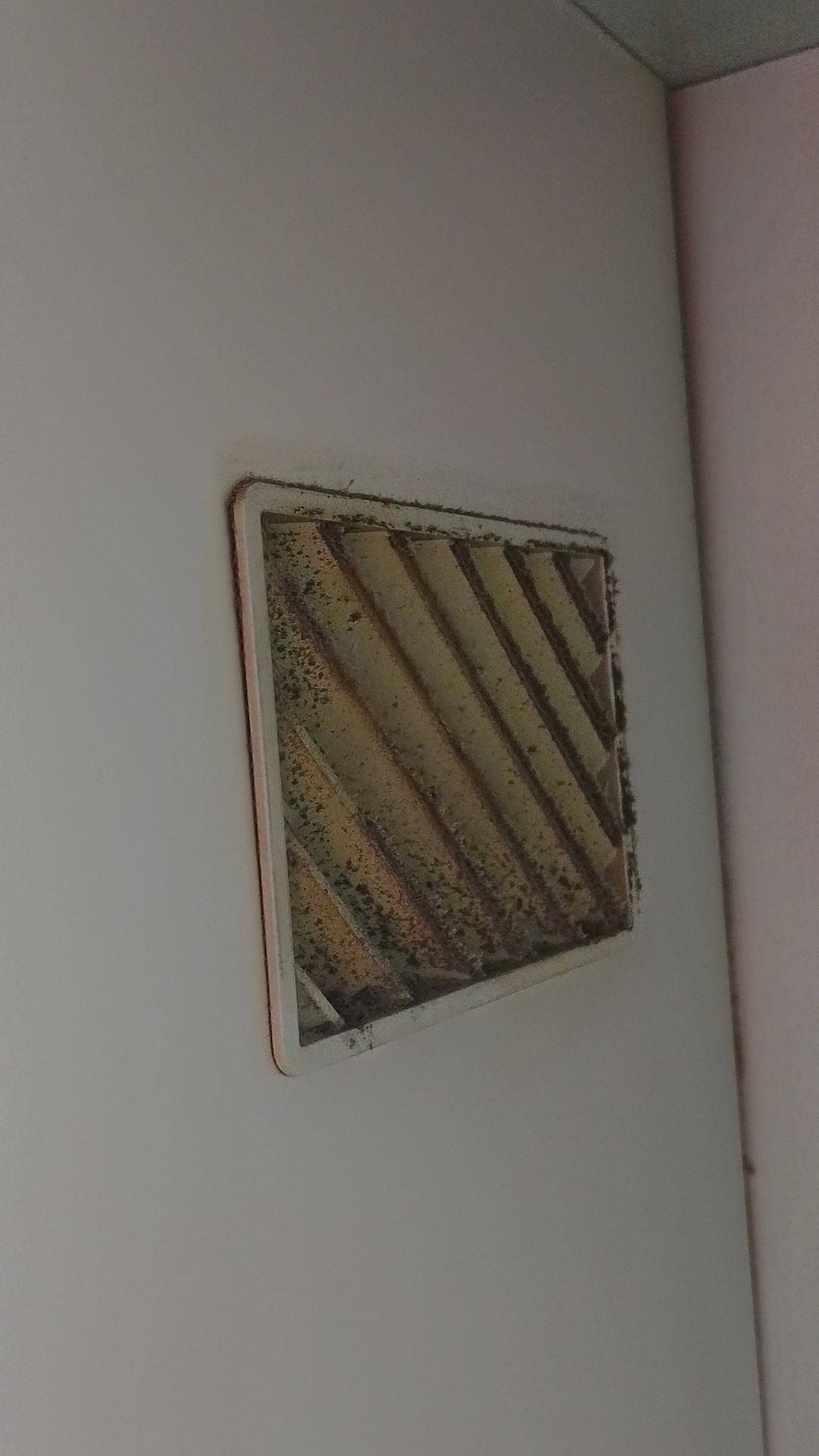 Before photo for End of Tenancy Cleaning