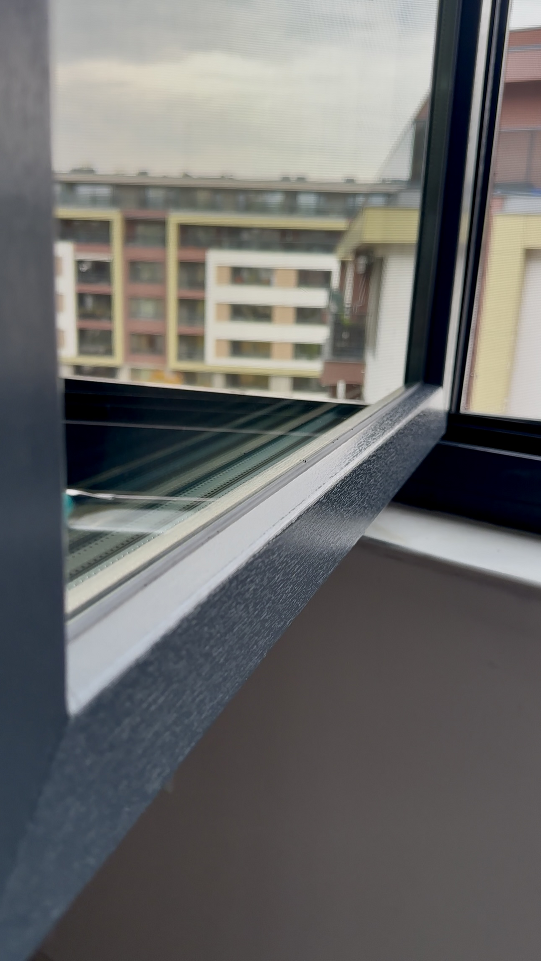 After photo for Window Cleaning