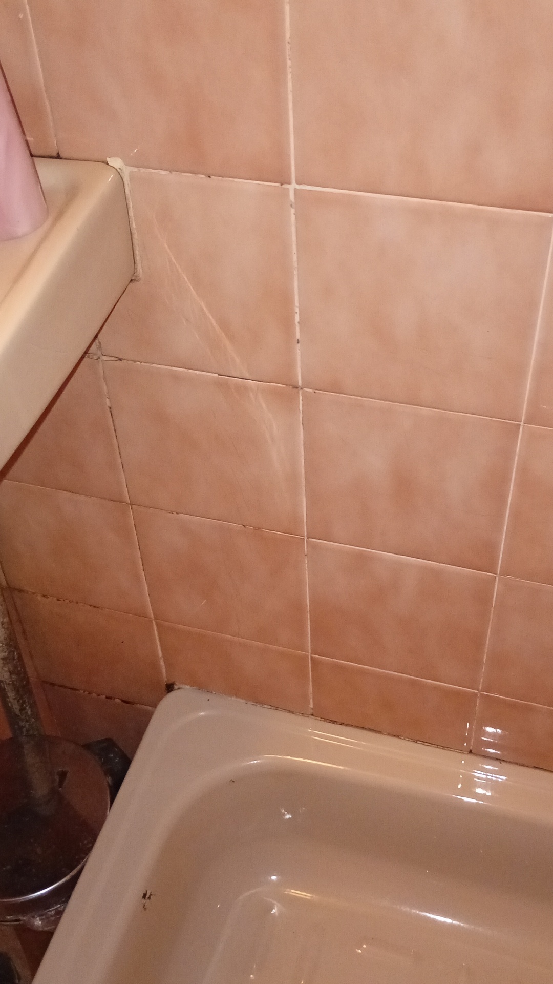 After photo for Deep Cleaning