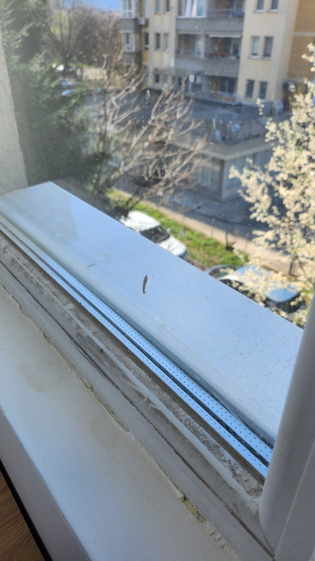 Before photo for Window Cleaning