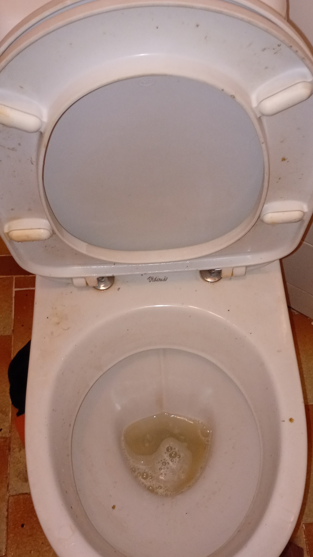 Before photo for Основно почистване