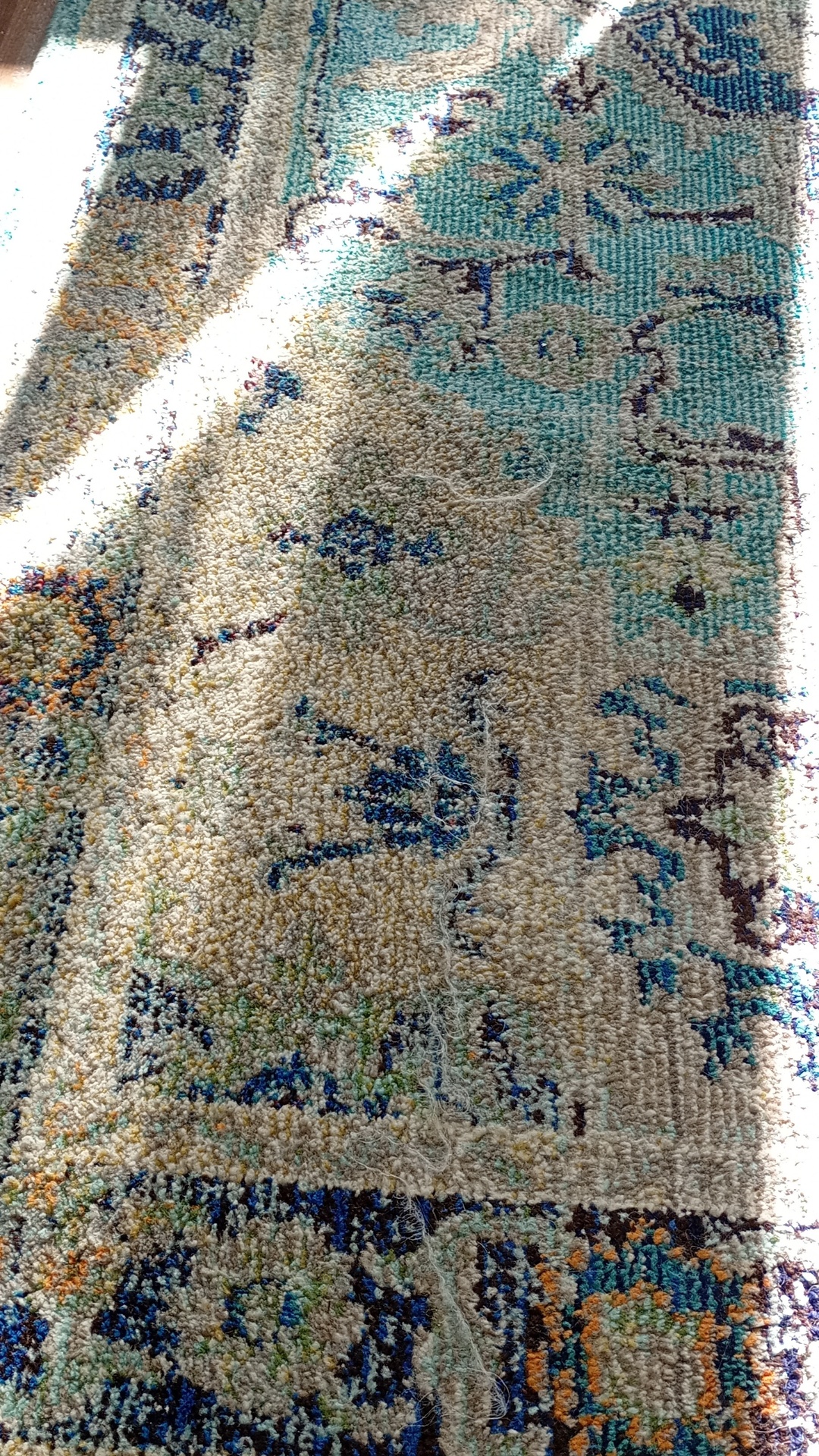 Before photo for Upholstery Cleaning